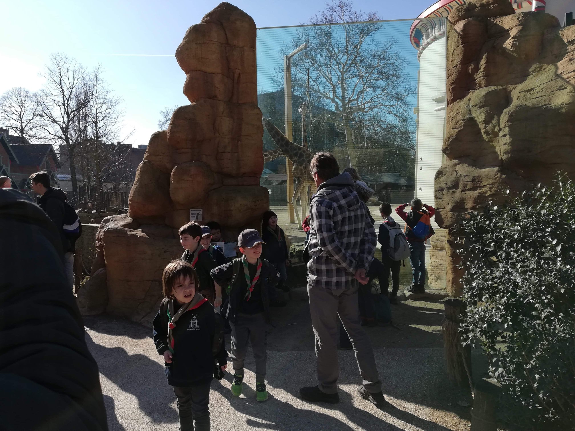 Sint-Martinus den XIIde - Zoo Antwerpen Kapoenen